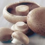 mushrooms nutrition facts